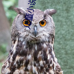 儿童小说 （蹂躏）