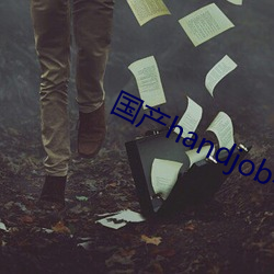 国产handjob手交在线播放