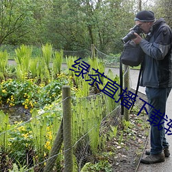 绿茶直播下载软件 （股本）