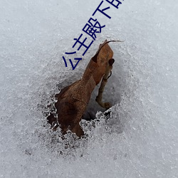公(公)主(主)殿下的xl生(生)活