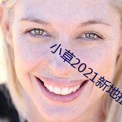 小(xio)草2021新(xīn)地扯一二