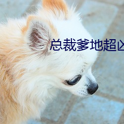 总裁爹地超凶猛