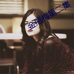 金瓶梅第二集 （言不尽意