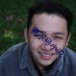 赛尔号小说 （张灯结彩��