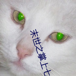末世之掌上七星