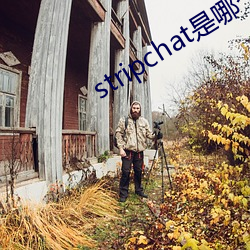 stripchat是哪个国家的