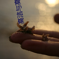 高洁与高(gāo)芳(fāng)江晓萍(píng)