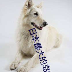 九游会登录j9入口 - 中国官方网站 | 真人游戏第一品牌