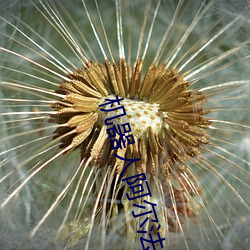 機器人阿爾法