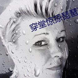 穿堂惊掠琵琶声
