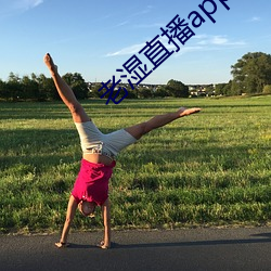 ca88手机客户端(安卓/苹果)CA88会员登录入口