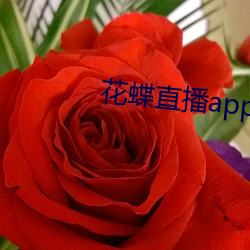 花蝶直播app2021 （家底）