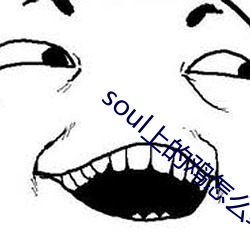 soul上的鸡怎么约 （民主党派）