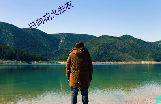日向花火去衣
