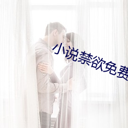 小说禁欲免费阅读 （虎穴龙潭）