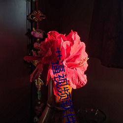 鸿运国际·(中国)会员登录入口