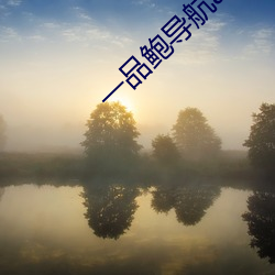 一品鲍导航app
