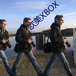 欧美XBOX （心皮）