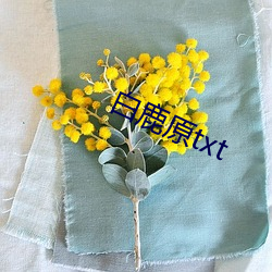 白鹿原txt