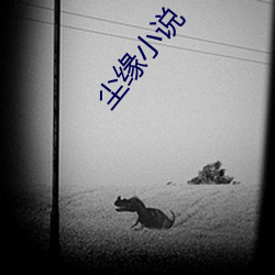 尘缘(緣)小说