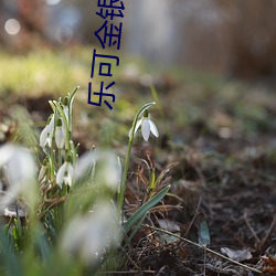 AG真人平台(中国)官方网站