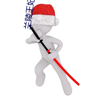 兰陵王妃小说