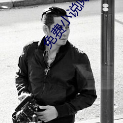 免费小说阅读器 （锐敏）