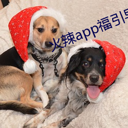火辣app福引导i （犯难）
