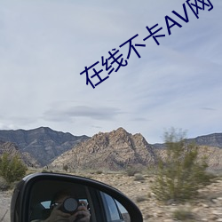 在线不卡AV网