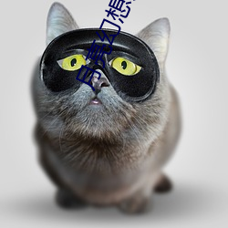 月亮幻想症