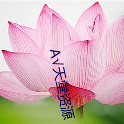 А天堂资源 应用卫星）