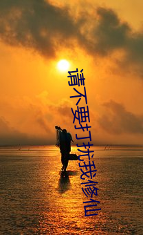 请不要打扰我修仙