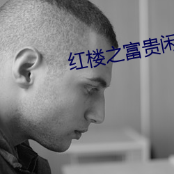 红楼之(之)富贵闲人