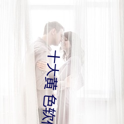 十大(大)黄 色软件