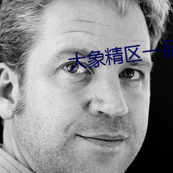大象精區一品精區