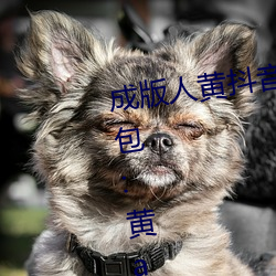 成版人黄抖音短视频app软件安装包:黄app排行榜前十名
