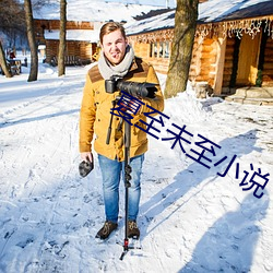 夏至未至小說