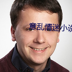 意亂情迷小說