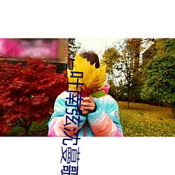 叶南(南)弦沈蔓歌叶南(南)弦全文免费阅(閱)读