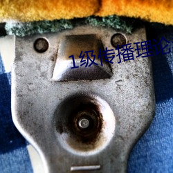 1级传播理论考试 （起早贪黑）