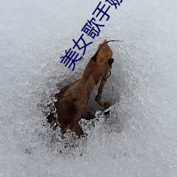 美女歌手娜娜 澈底澄清）