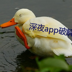 ҹappƽ