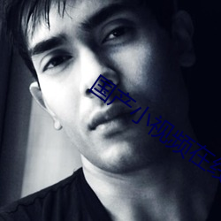 国产小视频在线高清播放