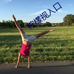 柠檬视(sh)入口