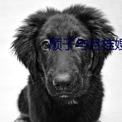 顺(shùn)子(zi)与(yǔ)月桂嫂