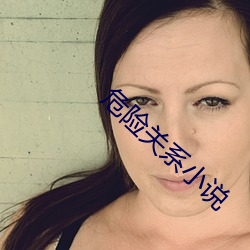 危險關系小說
