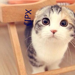 《IPX （蠲敝崇善）