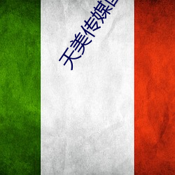 天美传媒国产