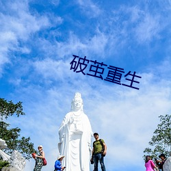 破茧重生