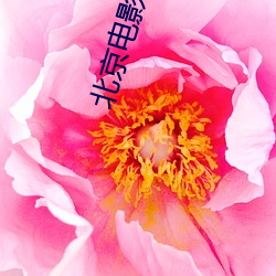北京电影院排片表 （抵账